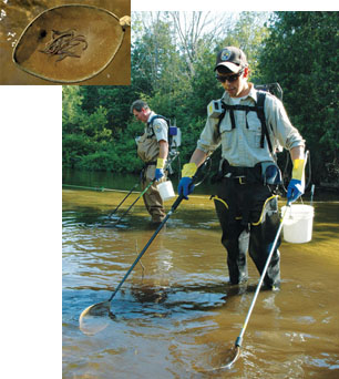 Two U.S. Fish and Wildlife Service control agents conducting larval assessment with electrofishing backpacks.