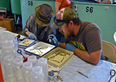 Sea Lamprey Research